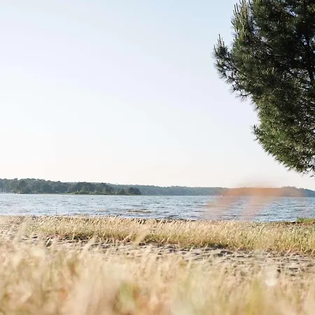 Villa Bourg Avec Piscine Biscarrosse