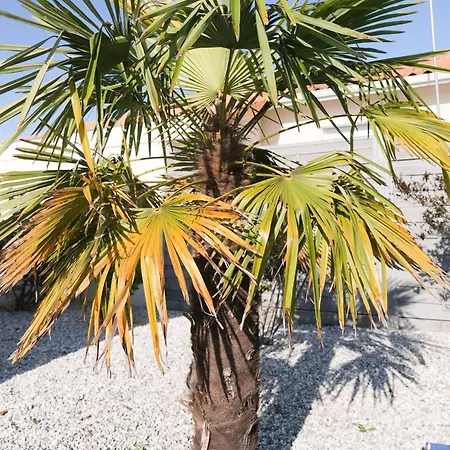 Bourg Avec Piscine *