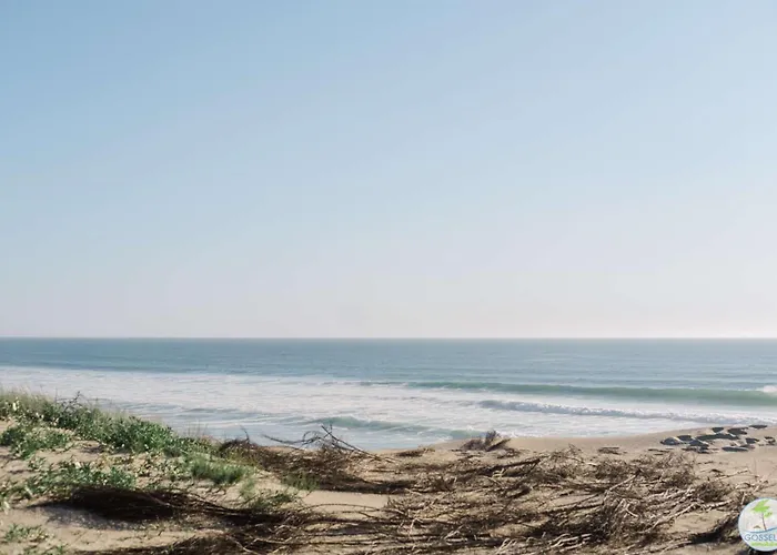 Villa Bourg Avec Piscine *