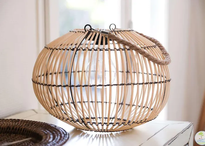 Villa Bourg Avec Piscine Biscarrosse